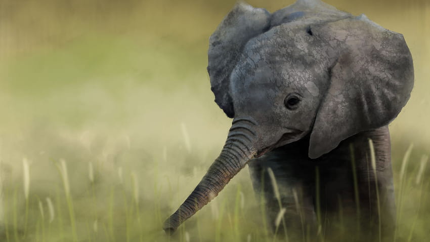 Słoniątko, Zwierzę, Sztuka, , , Tło, 4o2qzb, Malarstwo słonia Tapeta HD