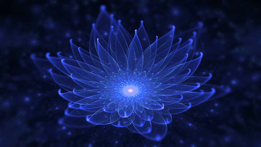 Glowing Blue Lotus Water Lily Enlightenment Or Meditation Magic Scene Space Flower Neon Blue Lotus Starry Lights Fairy. Blue Lotus Flower, Blue Lotus, Fractal Art HD wallpaper