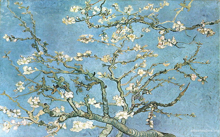 Van-Gogh-Mandelblüten. Kunst. Van Gogh Mandelblüte, Mandelzweige Van Gogh HD-Hintergrundbild