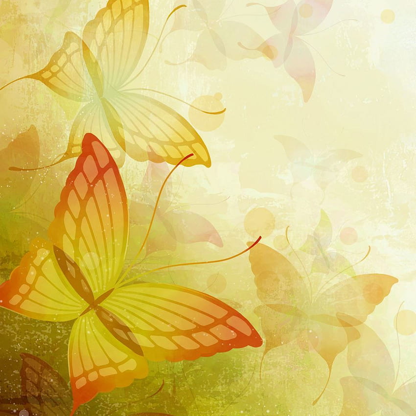 Best Butterfly iPad, Beautiful Butterfly HD phone wallpaper