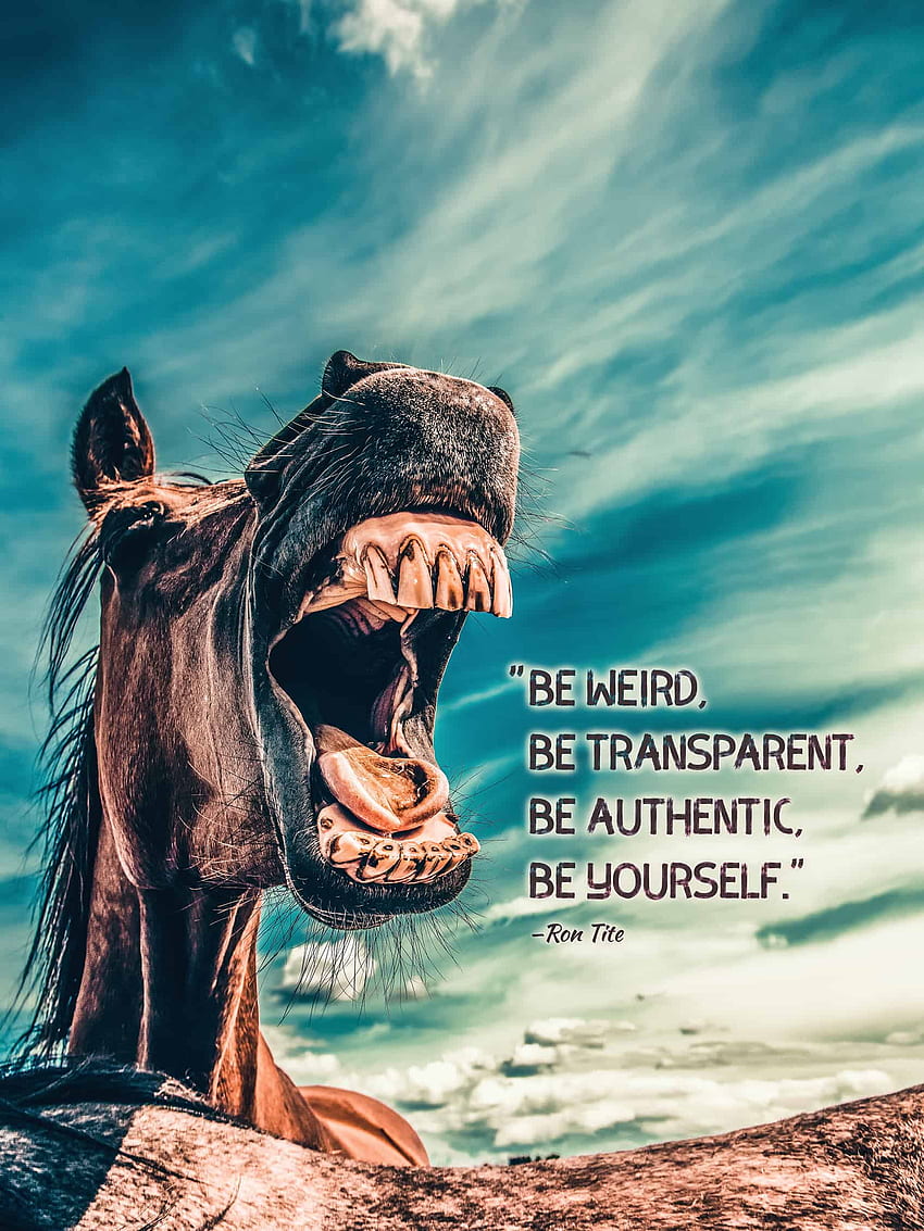 Of A Horse Baring Its Teeth With The Quote - Weird Be, Authentic HD phone wallpaper