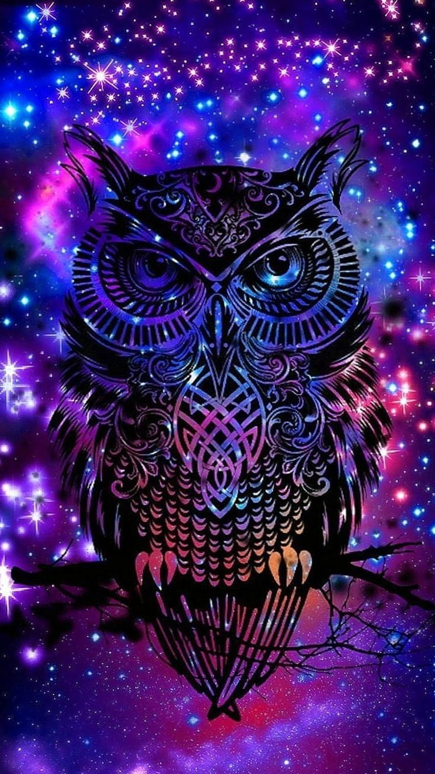 Mandala Galaxy Owl Trippy Owl HD phone wallpaper  Pxfuel