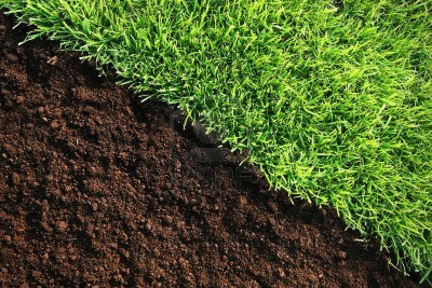 Turf and Lawn Fertilizers at Gavin Horticulture Supply Company HD wallpaper