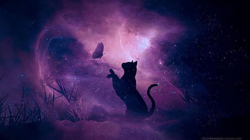 Фентъзи животни. Лилава галактика, лаптоп, естетика на черна котка, невероятна котешка галактика HD тапет