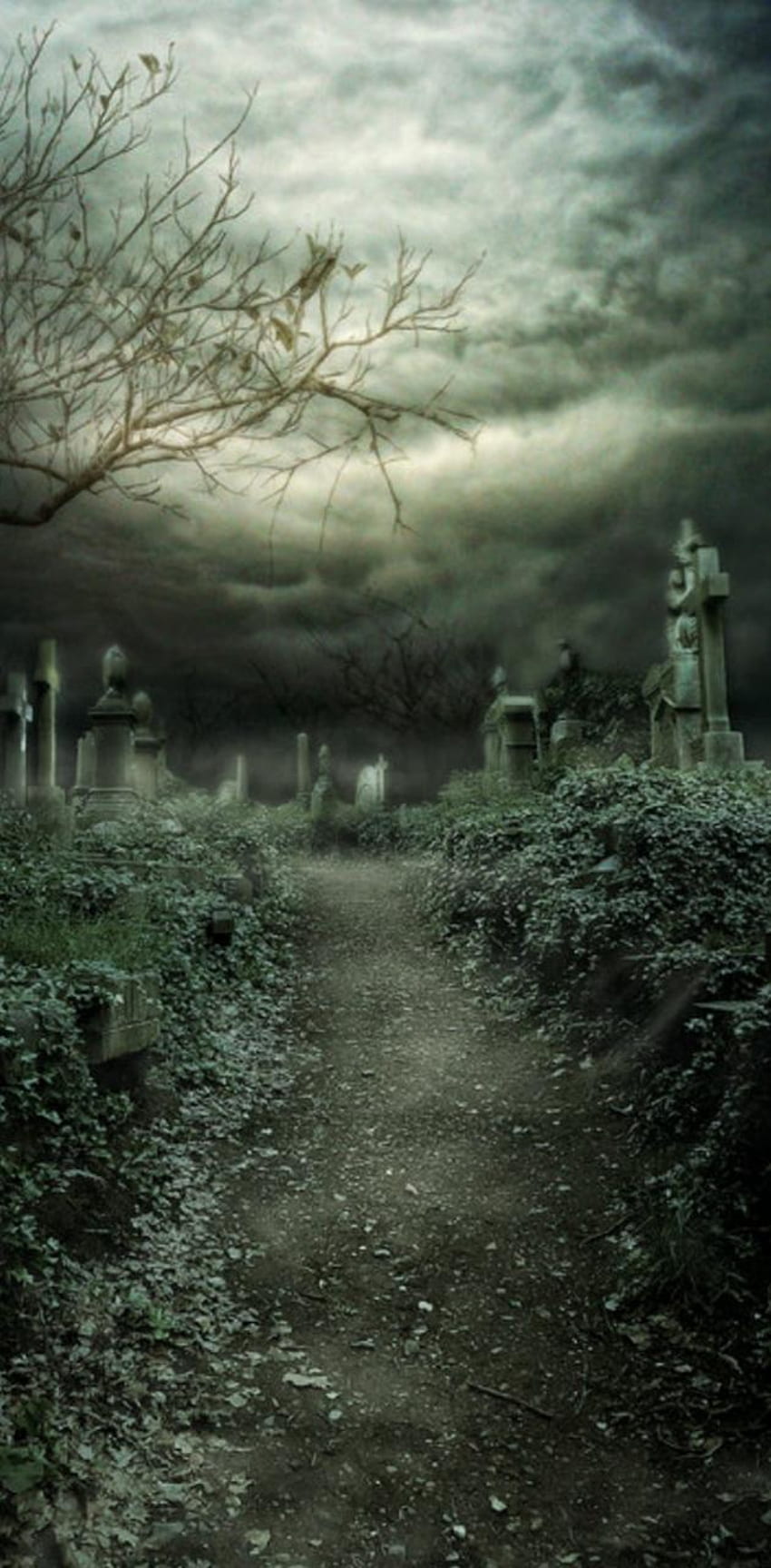 묘지, 무서운 묘지 HD 전화 배경 화면