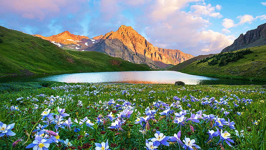 Orliki w słynnym basenie Blue Lakes w Mt. Sneffels Wilderness, kwiaty, chmury, USA, niebo, kwiaty, góry, wschód słońca, Kolorado Tapeta HD