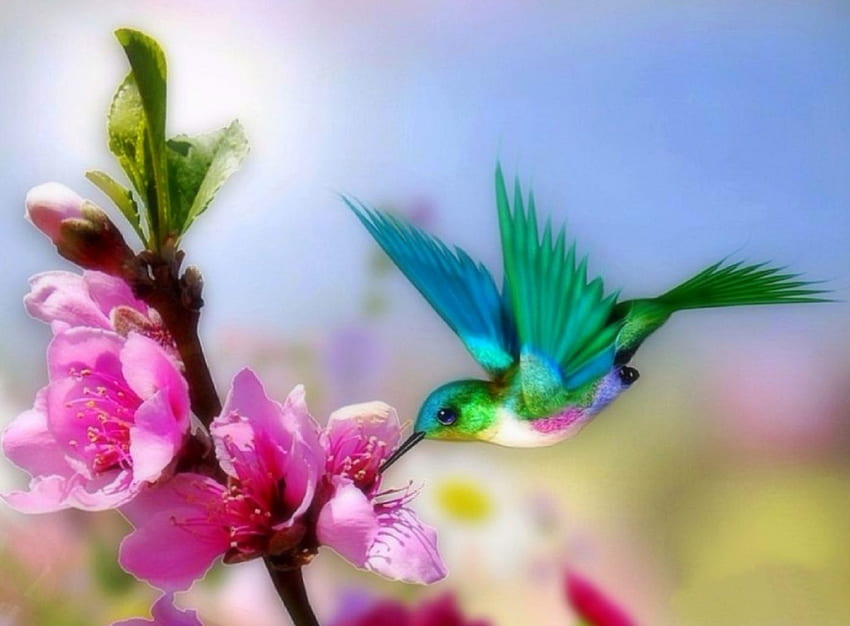 Pretty Hummingbird, ptaki, kolory, piękna martwa natura, wiosna, miłość cztery pory roku, zwierzęta, koliber, natura, kwiaty Tapeta HD