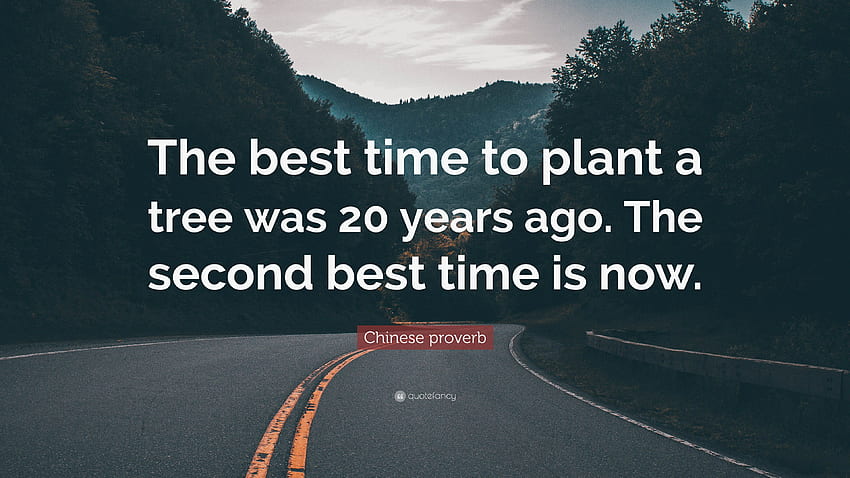 Citação de provérbio chinês: “A melhor época para plantar uma árvore foi 20 anos papel de parede HD