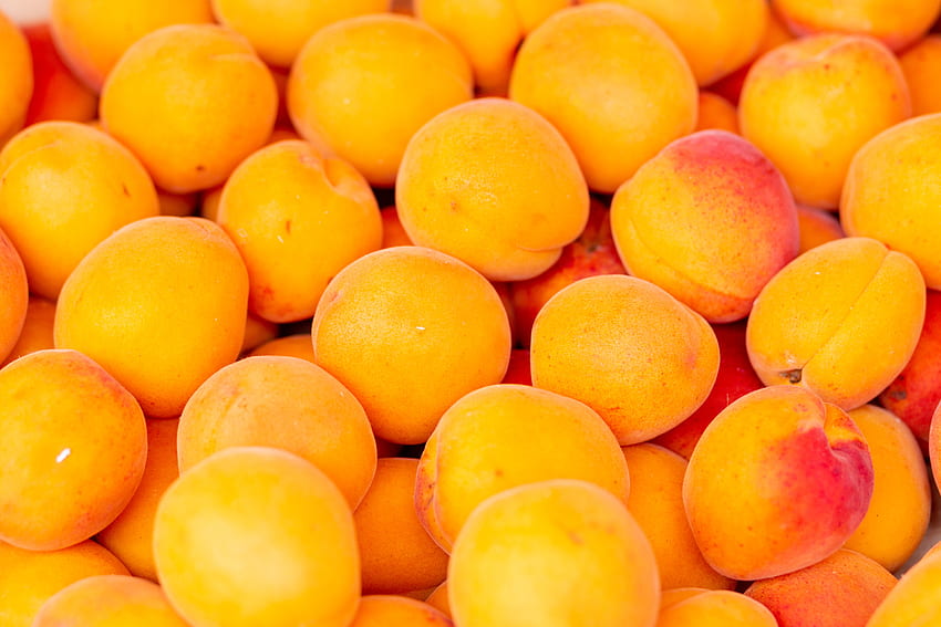 Fruits, Food, Ripe, Fresh, Apricots HD wallpaper