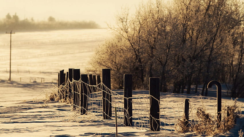 Winter, Natur, Bäume, Schnee, Zaun, Verwehungen, Einzäunung, Gehege, Abdeckung HD-Hintergrundbild