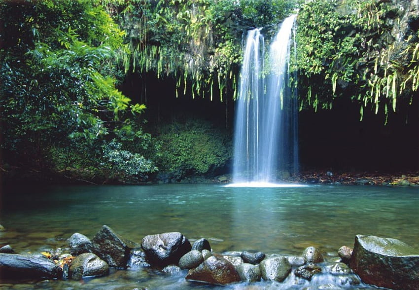 Floresta Cachoeira, cachoeiras, florestas, natureza, rochas papel de parede HD