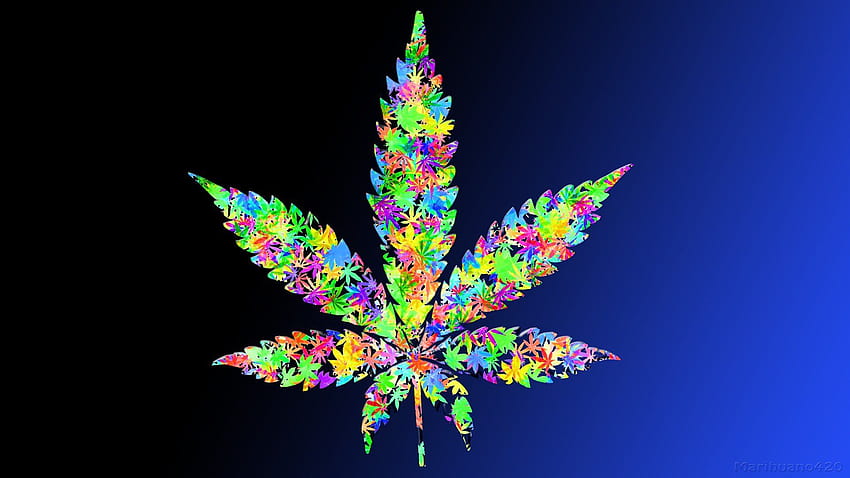 Blattdrogen hinterlässt Marihuana-Unkräuter. . 341187, Hanf HD-Hintergrundbild
