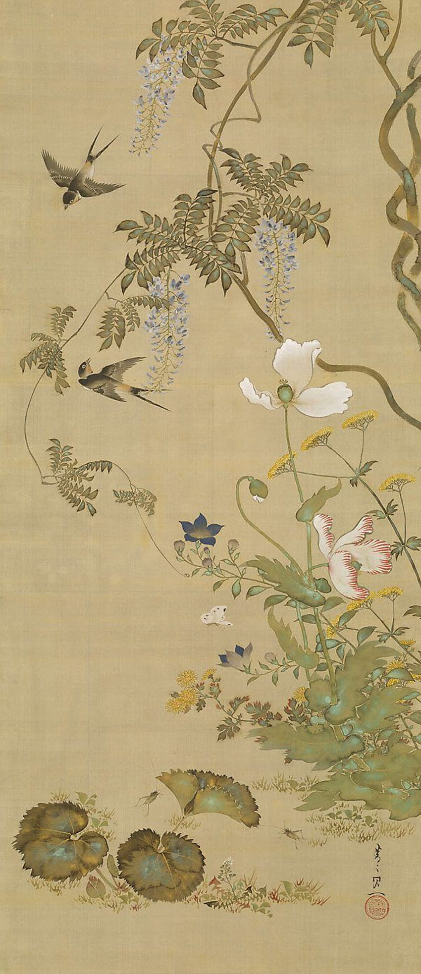 Pájaros y flores, (circa 1855) - Suzuki KIITSU. Японская графика, pergamino japonés fondo de pantalla del teléfono