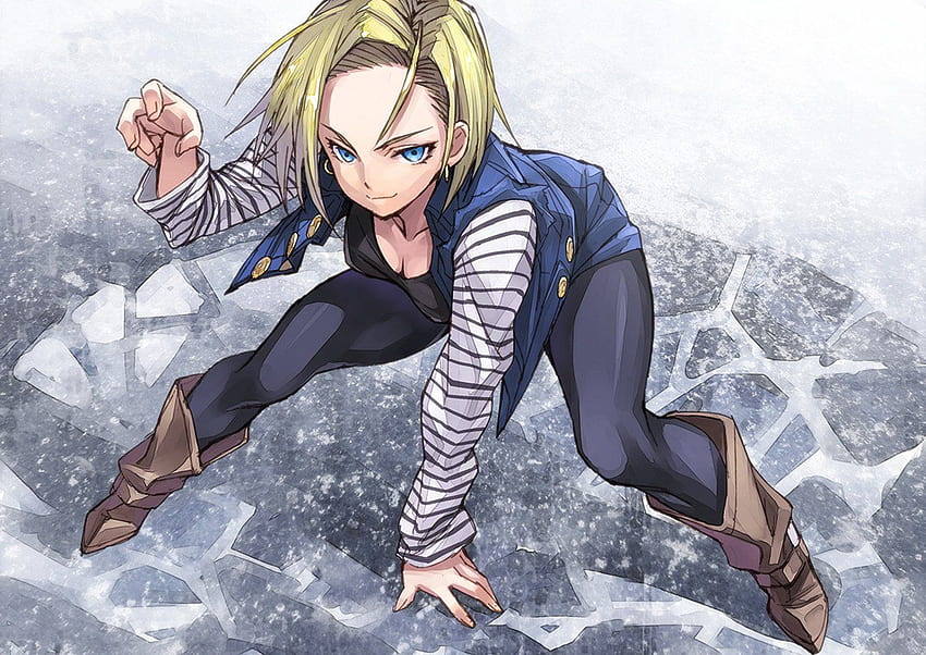 Android 18 (Dragon Ball) . Background HD Wallpaper | Pxfuel