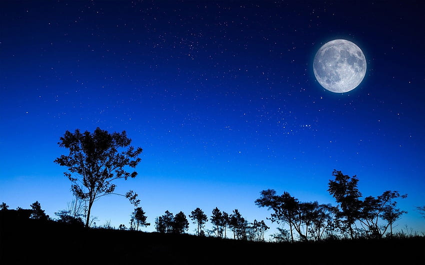 Kraj, księżyc, przyroda, drzewo, noc Tapeta HD
