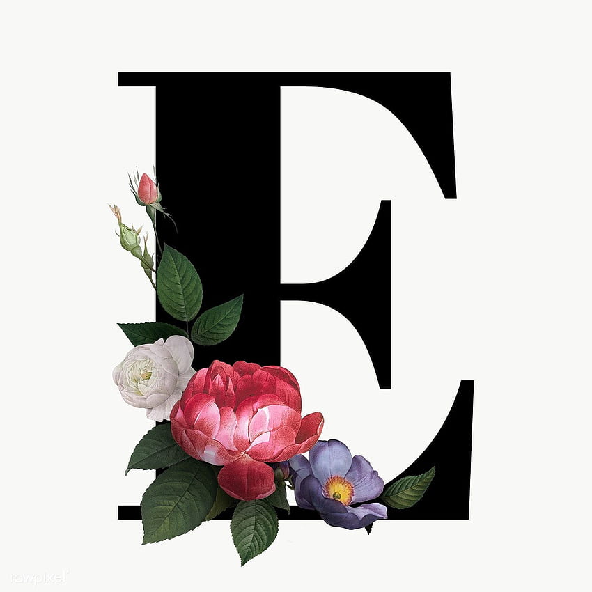 クラシックでエレガントな花のアルファベット フォント文字 E 透明 png。 . レタリング アルファベット フォント、フォント アルファベット、花のモノグラム文字、かわいい文字 E HD電話の壁紙