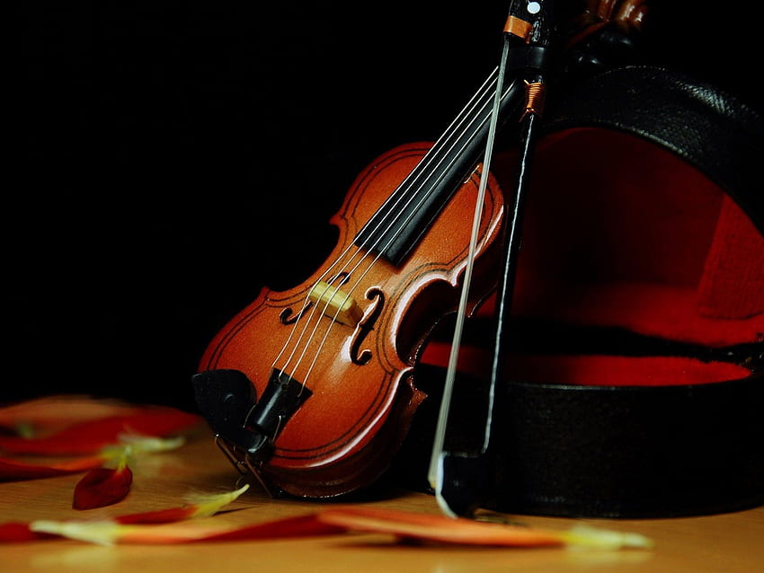 Viola Instrument, Orchestra HD wallpaper