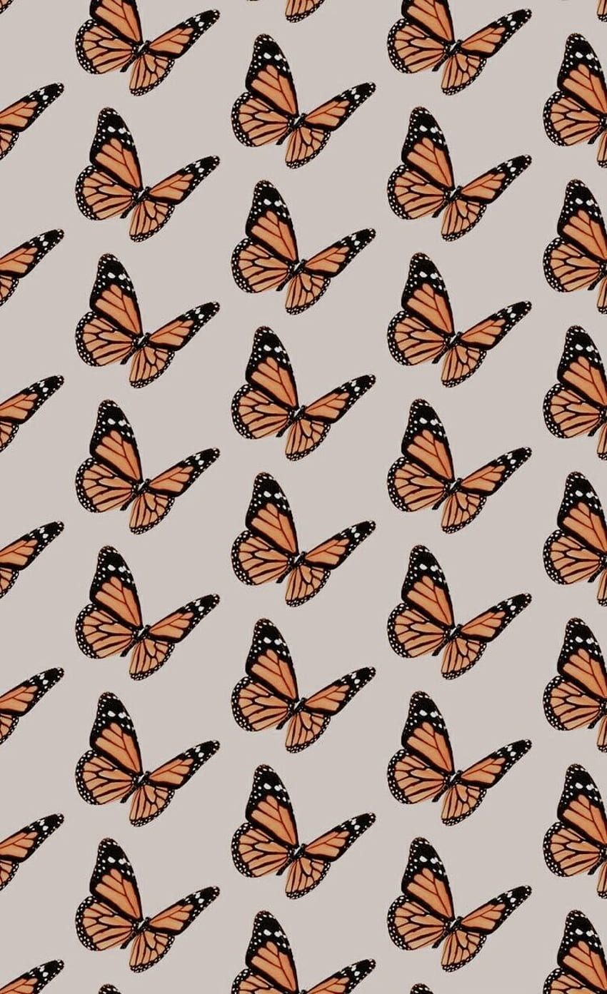 Butterfly Wall Collage Vsco Butterfly Hd Phone Wallpaper Pxfuel