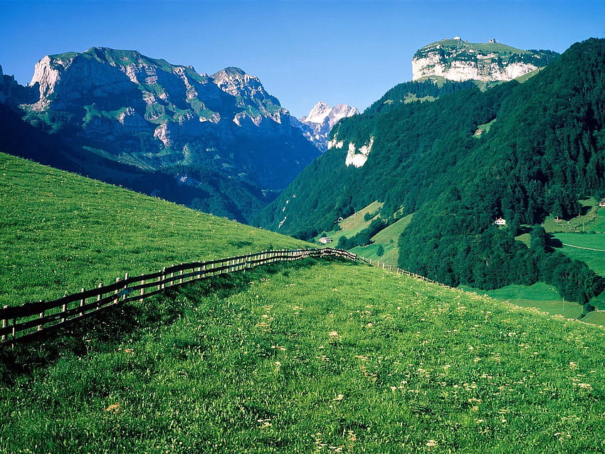 Natur, Bäume, Berge, Greens, Zaun, Schweiz, Wiesen, Hänge, Weide HD-Hintergrundbild
