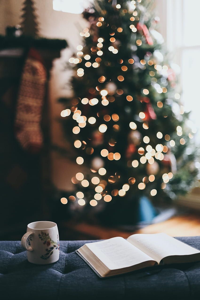 Cup, Holiday, Relaxation, Rest, Christmas Tree, Book, Mug HD phone wallpaper