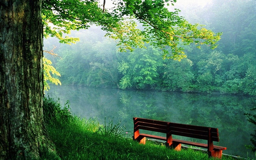 River Banking Bench Views And HD wallpaper