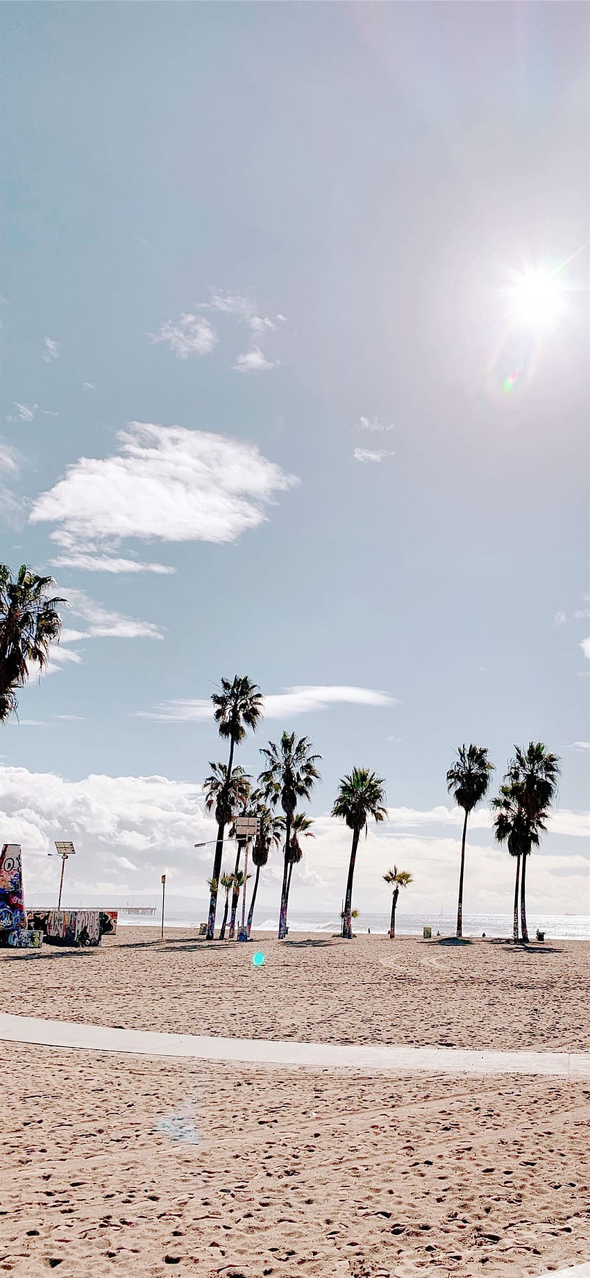 Palmeras en Venice Beach Los Ángeles palmeras v. iPhone X, Hawaii Palmeras estéticas fondo de pantalla del teléfono