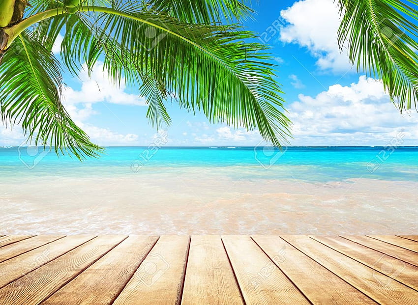 1920x1080px, 1080P Free download | Beach by a coconut tree HD wallpaper