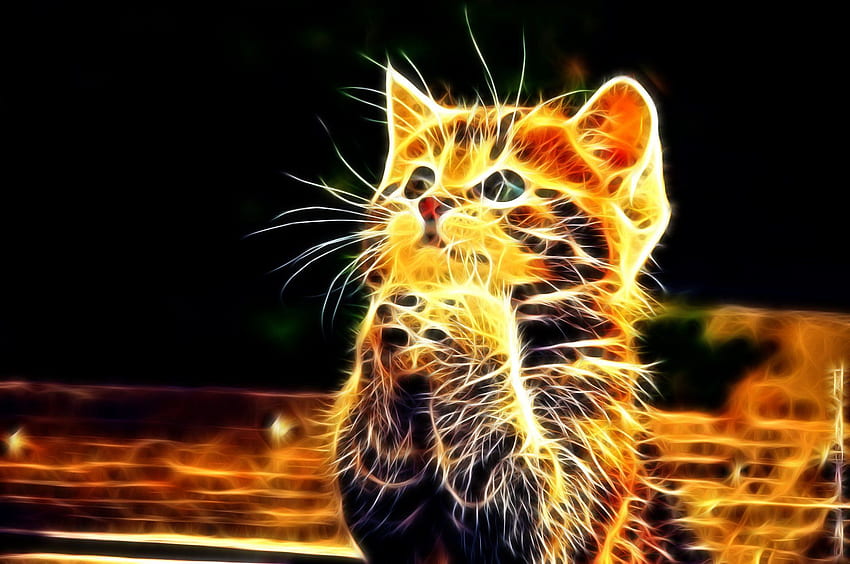 3D Cat, Cute Animal 3D HD wallpaper | Pxfuel