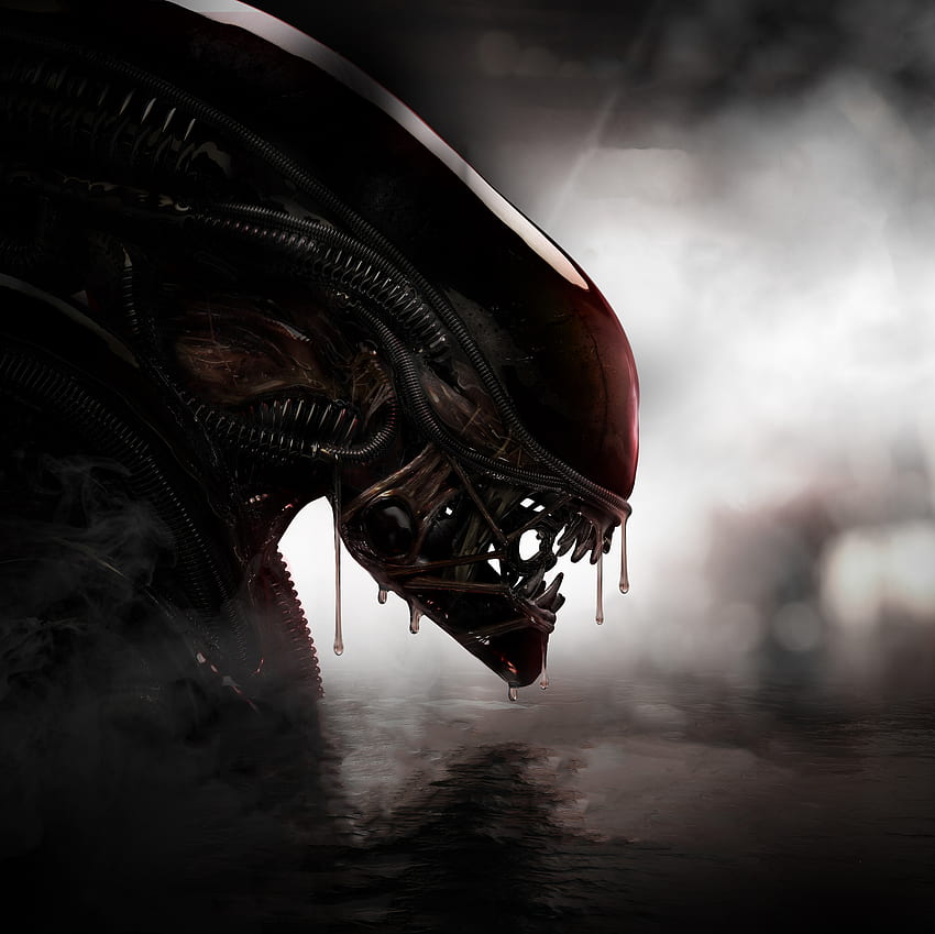 Alien, Raubtier, Kreatur HD-Hintergrundbild