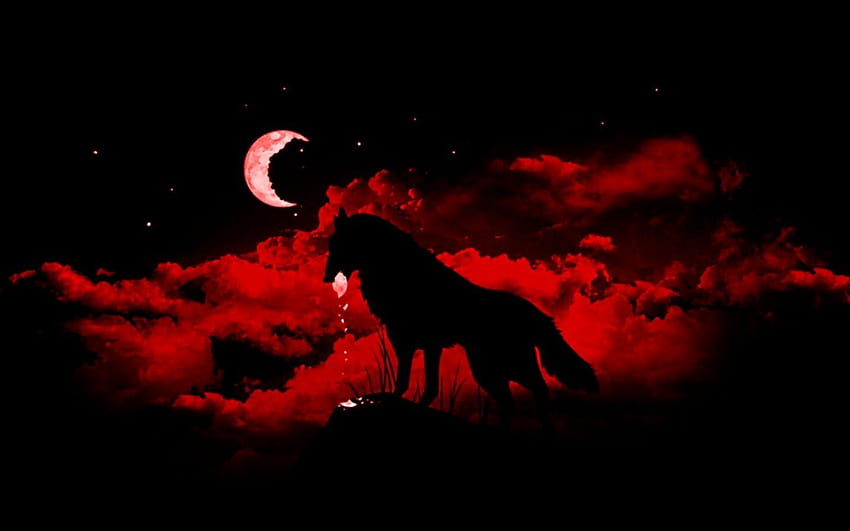 Red and Black Wolf, Dark Wolves HD wallpaper