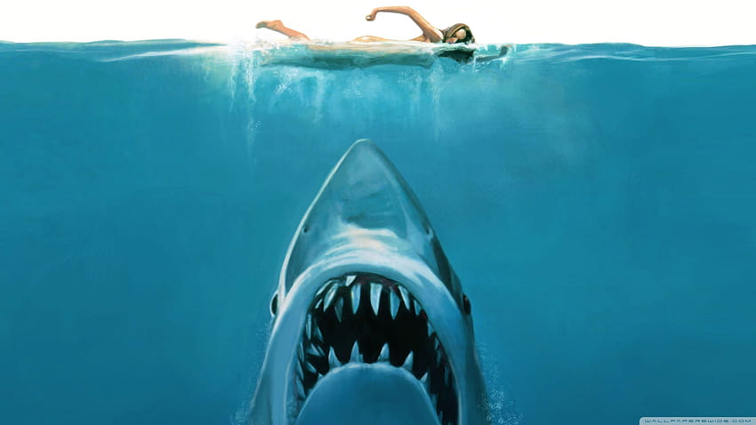 13 Paling Mengagumkan Bagi Orang yang Menyukai Shark Week [Galeri]. Kultus Mac, Hiu iPad Wallpaper HD