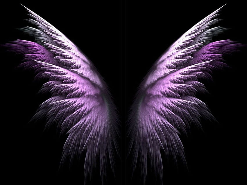 beautiful angel wings