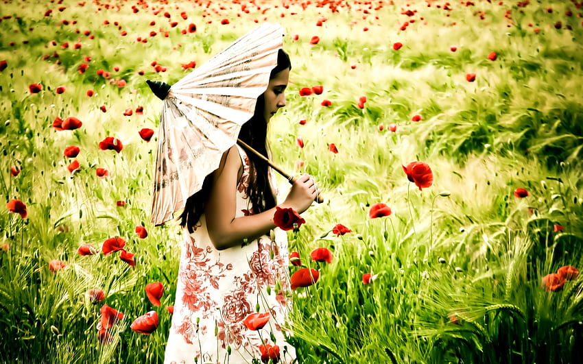 maki pole, parasol, kwiaty polne, piękno, kwiaty pole, maki, czas letni, dama, mak, słodki, pole maków, ręce, dziewczyna, piękny, trawa, mała dama, ręka, lato, ładny, pole kwiatów, zielony , twarz, natura, piękny Tapeta HD