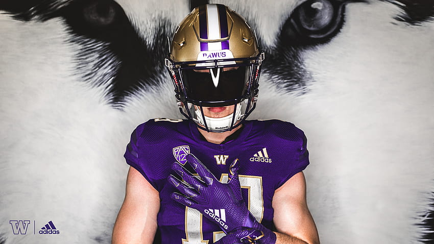 University of Washington und adidas stellen neue Huskies-Fußballtrikots vor - University of Washington Athletics HD-Hintergrundbild