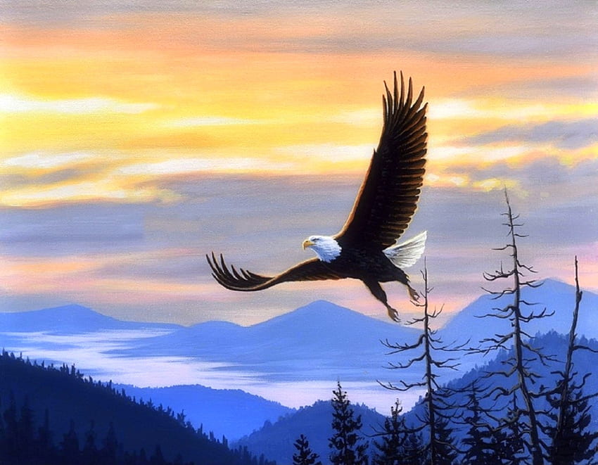 Conquered, eagle, attractions in dreams, flying, paintings, summer, love four seasons, animals, clouds, nature, sky, mountains HD wallpaper
