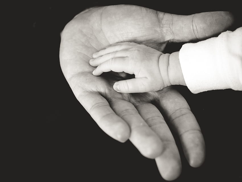 Love, Hands, Bw, Chb, Family, Care, Tenderness, Child, Parents HD wallpaper
