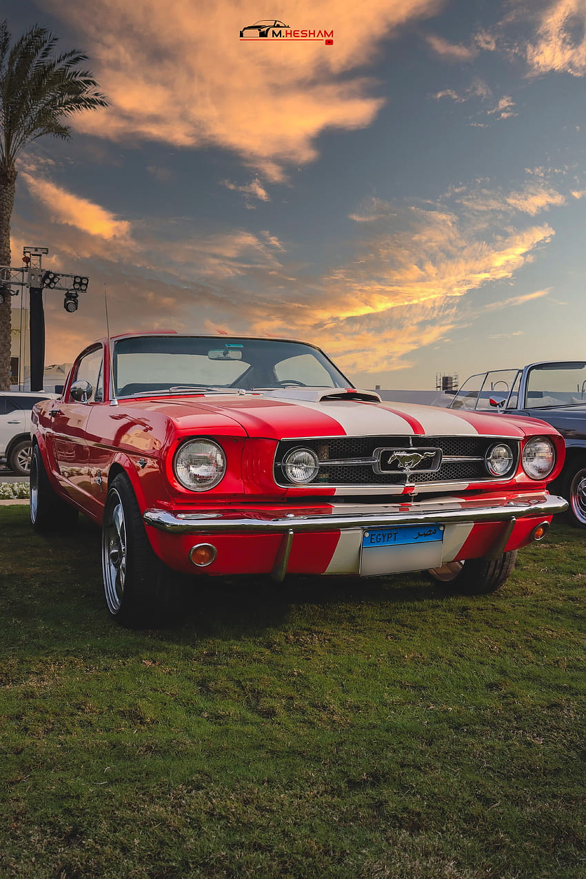 Mustang clássico, automóvel, nuvem, céu, carros, carro, vintage, ford, veículo Papel de parede de celular HD