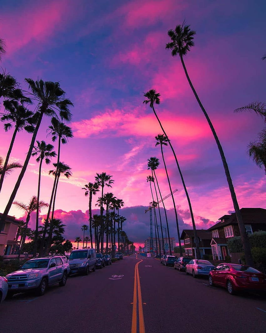 パームス サンセット ピンク スカイ マイアミ フロリダの車と高速道路。 空の美学、ピンクの空、稲妻、マイアミ ピンク HD電話の壁紙