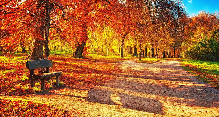 Natura, Jesień, Park, Liście, Ławka Tapeta HD