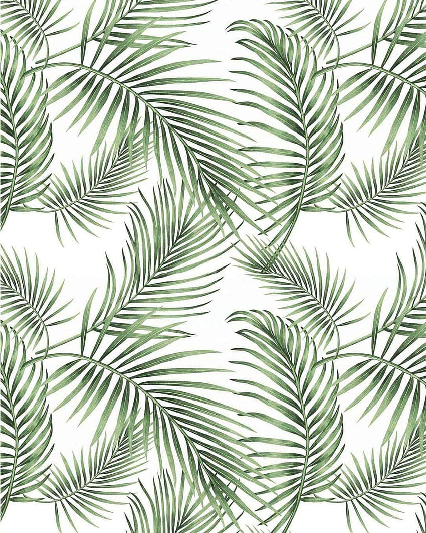 197”×17.7”Tropical Palm Rainforest Leaves Tropical Jungle Green Palm Leaves Wall Decals Self Adhesive Removable Decorative Shelf Liner Vinyl Film Roll, Jungle Leaf HD phone wallpaper