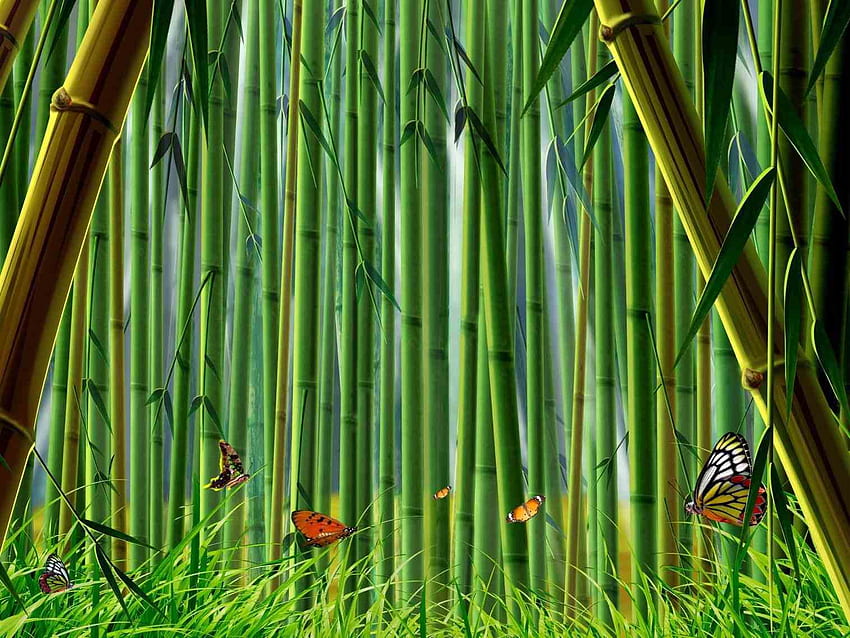 bamboo clipart pictures