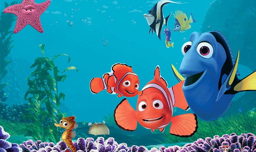 Nemo, Buscar para, Buscando a Nemo fondo de pantalla