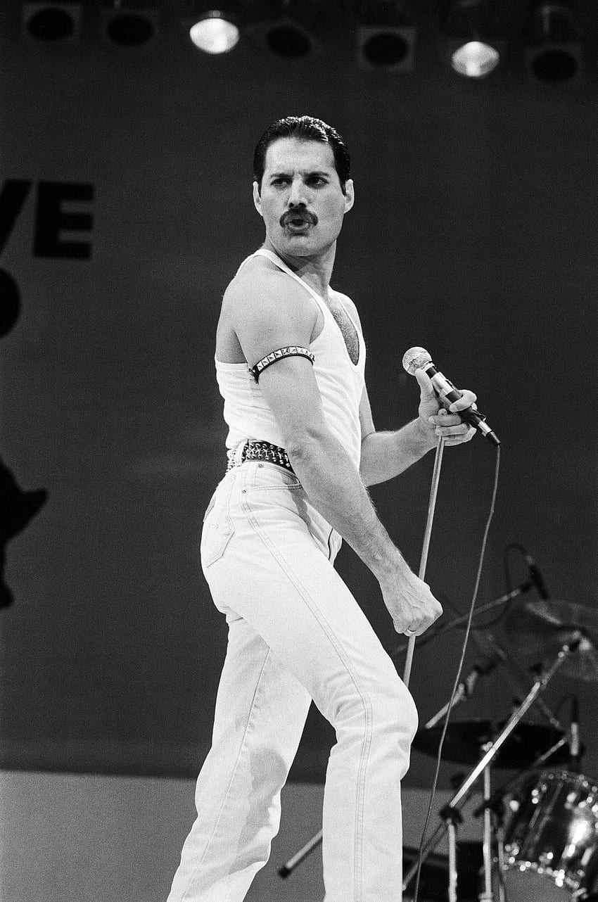 Rami Malek, Catching Mercury (Published 2018). Queen freddie mercury, Freddie mercury, Rami malek, Freddie Mercury Live Aid HD phone wallpaper