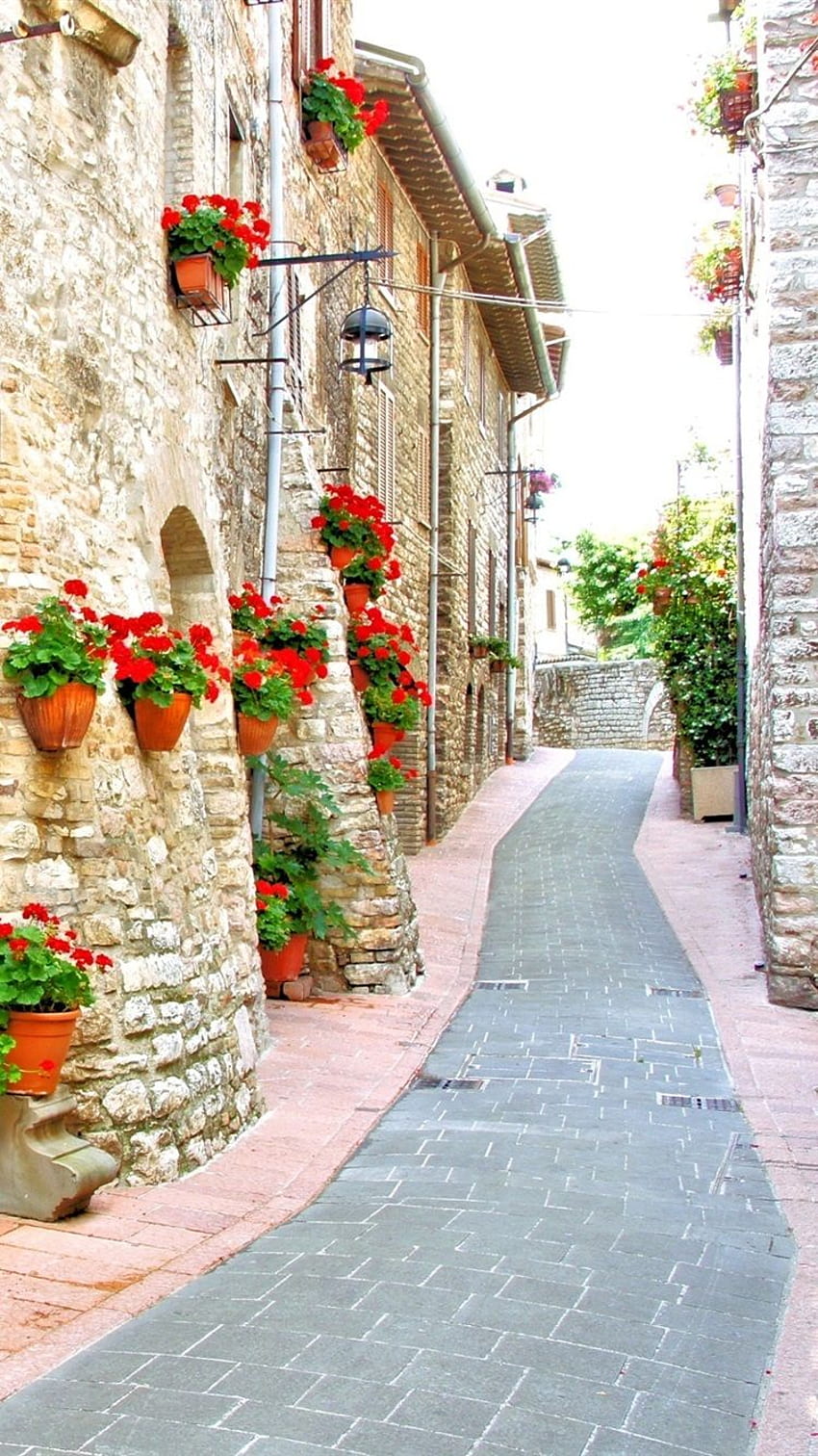 Italia, calle, casa, flores, camino fondo de pantalla del teléfono
