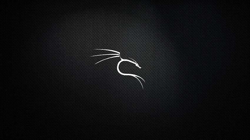 GitHub Dorianpro Kali Linux: Zestaw dedykowanego systemu Kali Linux*, który zamierzam regularnie aktualizować. Wszyscy skończyli używać GIMP i innego GNU Linux FOSS, logo Linux Tapeta HD