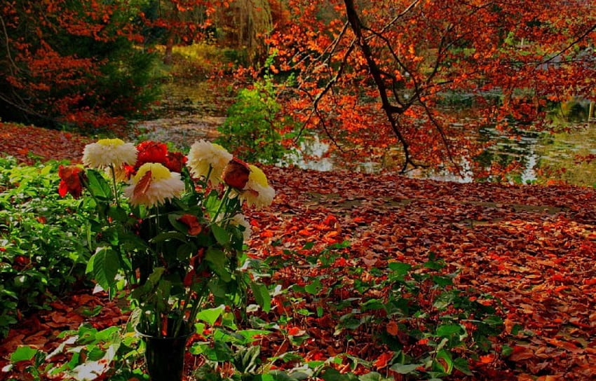 가을 꽃다발, 꽃다발, 잎, 연못, 나무, 가을, 자연, 꽃 HD 월페이퍼