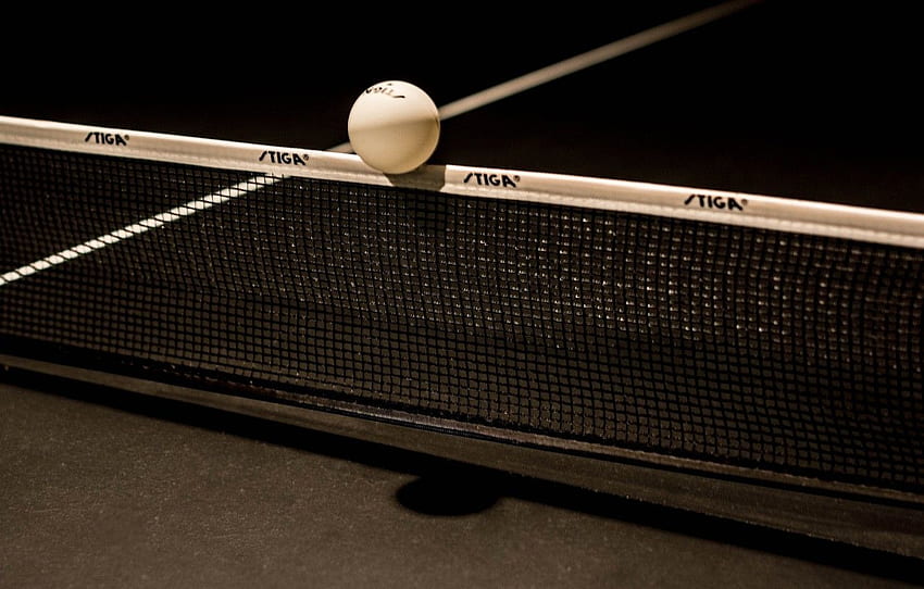 Mesh, The Ball, Ping Pong, Table Tennis HD wallpaper