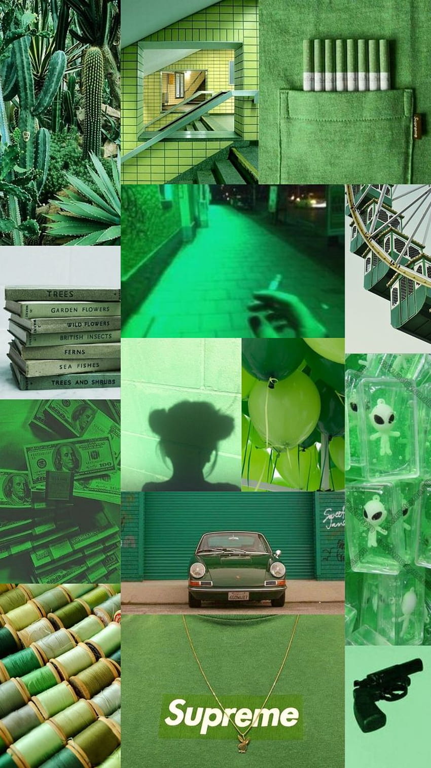 Collage, , collage, estética, música, color, verde, verde claro iPhone X 743656957198657053 - iPhone X fondo de pantalla del teléfono