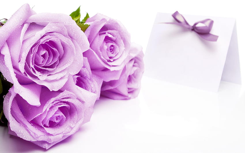 Purple roses background: Với màu sắc tinh tế và rực rỡ của những đóa hoa hồng tím, hình nền Purple Roses Background sẽ khiến cho không gian sống của bạn cảm thấy đầy màu sắc và hạnh phúc. Hình ảnh này sẽ tạo nên một không gian trang trí độc đáo và ấm cúng.