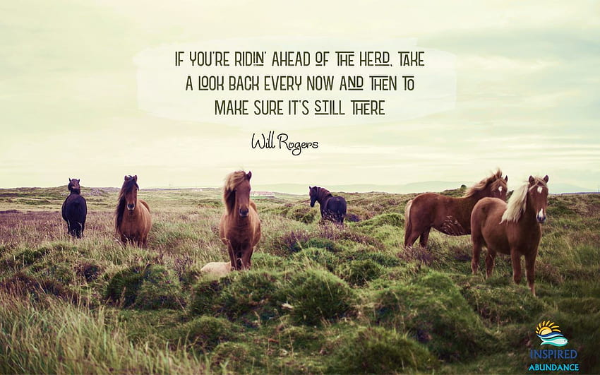 Citações inspiradoras de Will Rogers -, Horse Quotes papel de parede HD